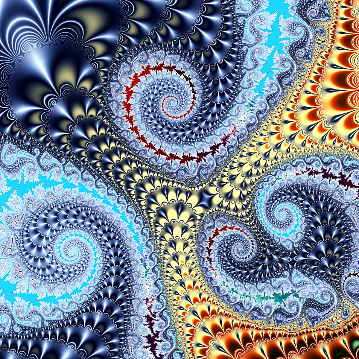Ammonite
