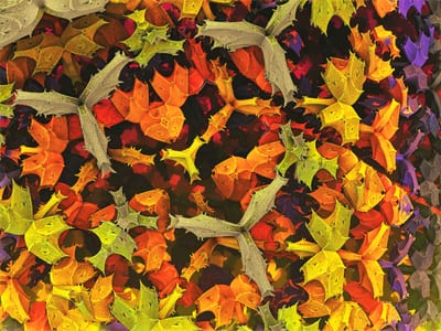 Automne