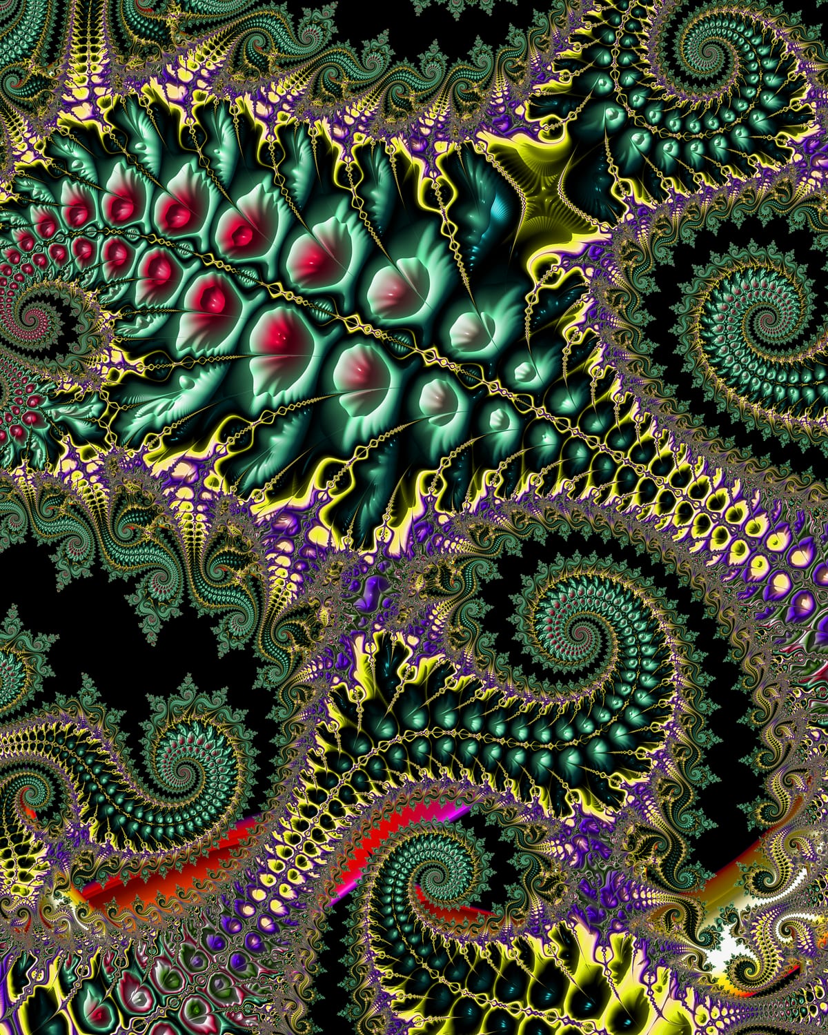 Chlorophyll