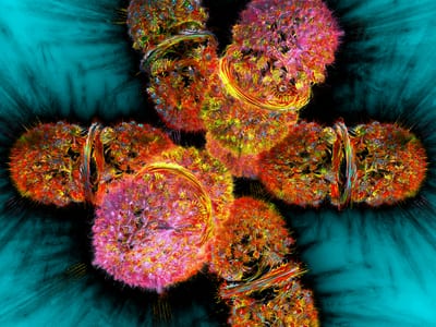 Chromosome