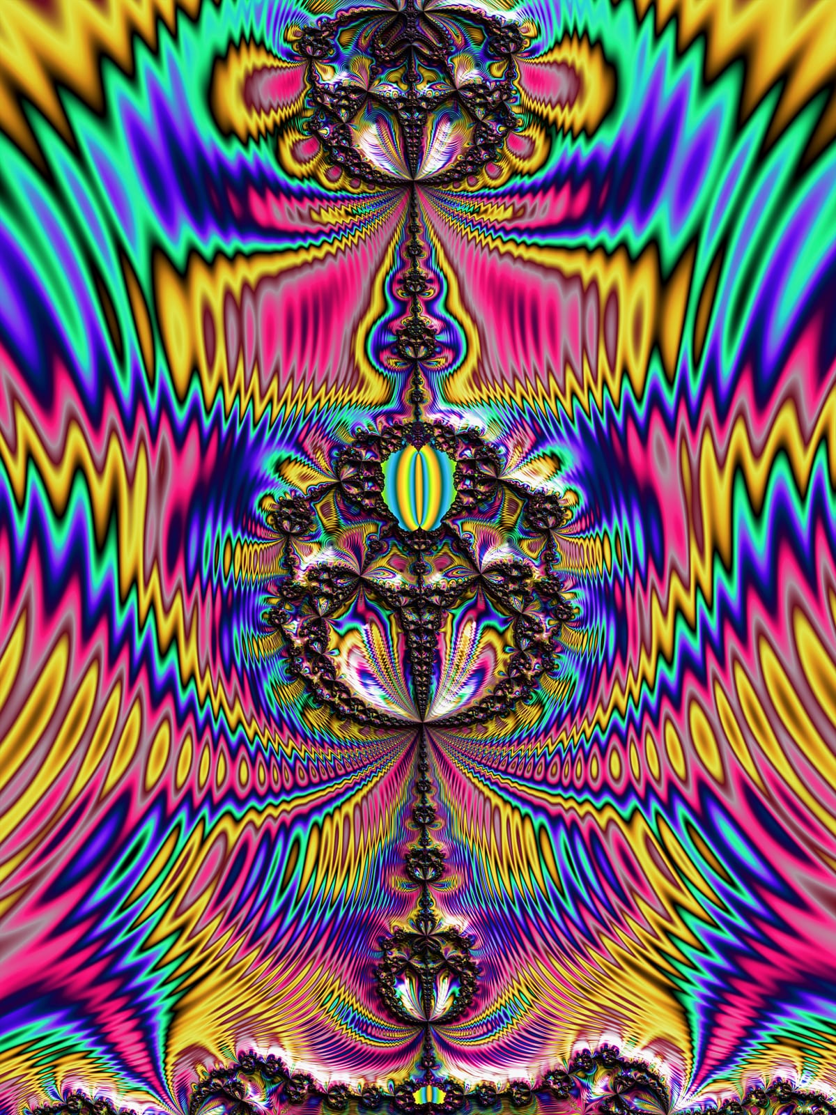 Cicada