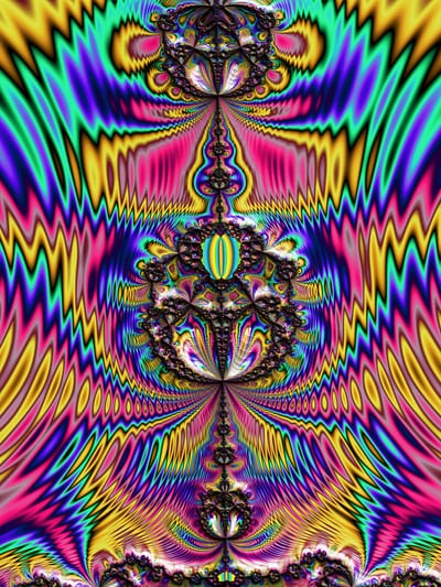 Cicada