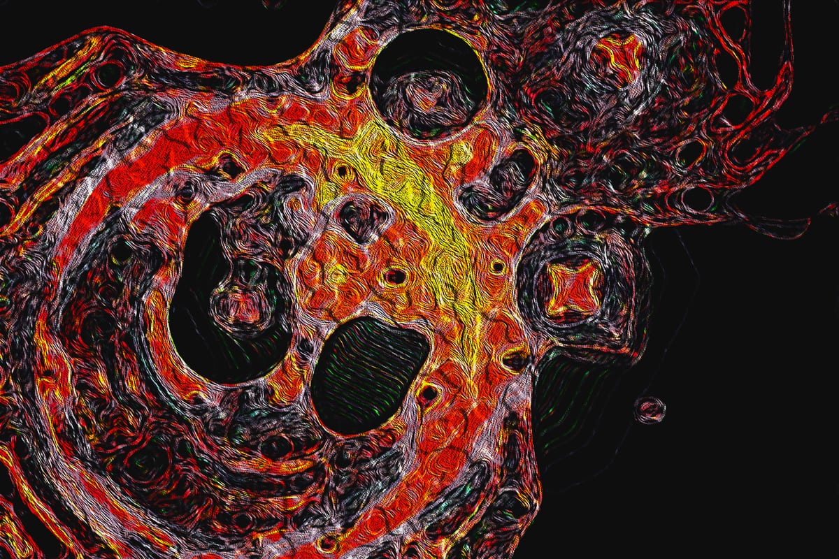 Cluster