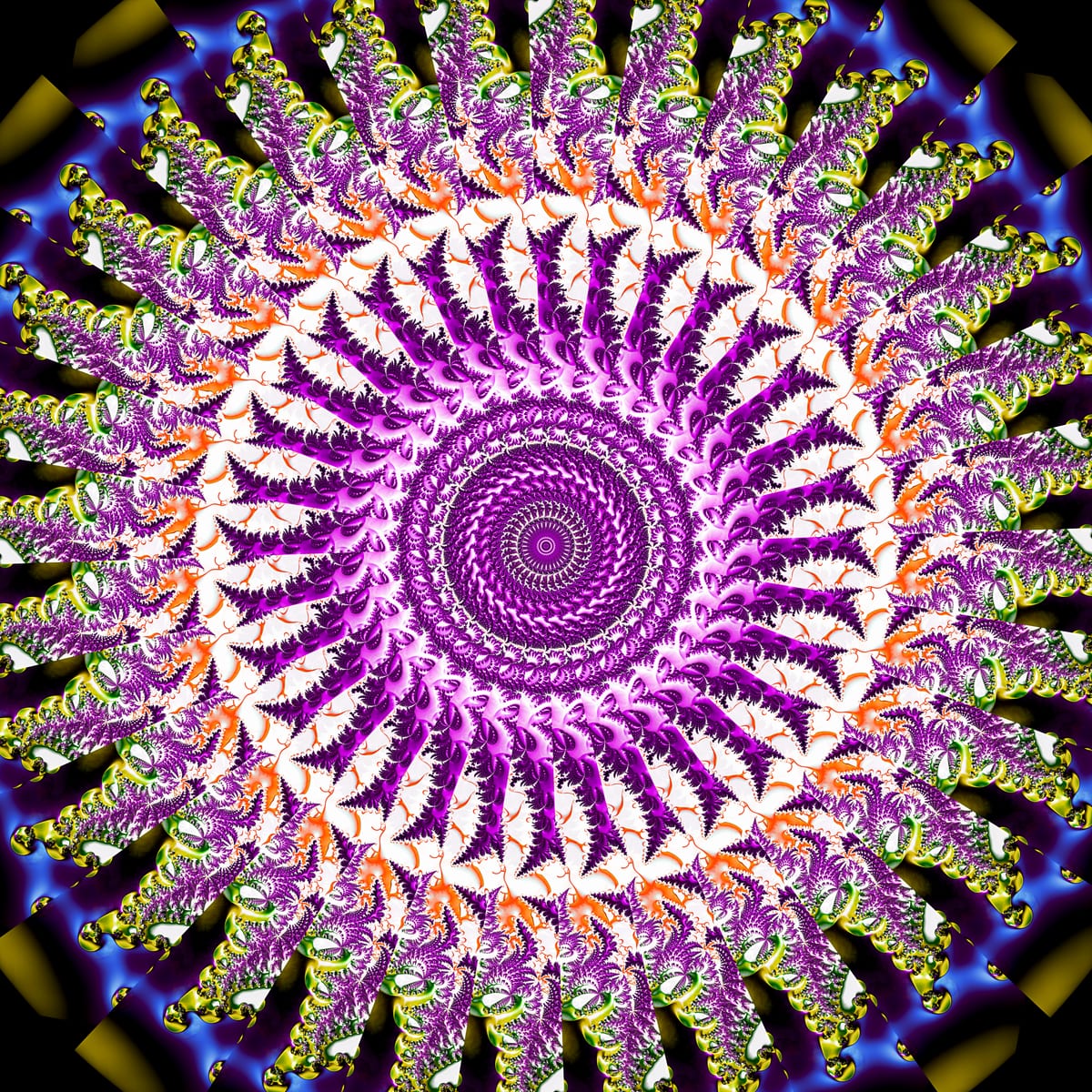 Division
