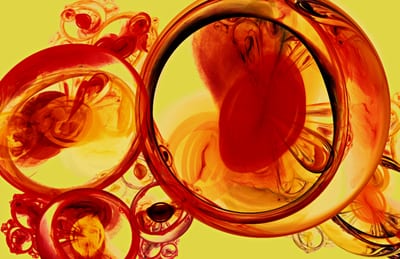Erythrocytes