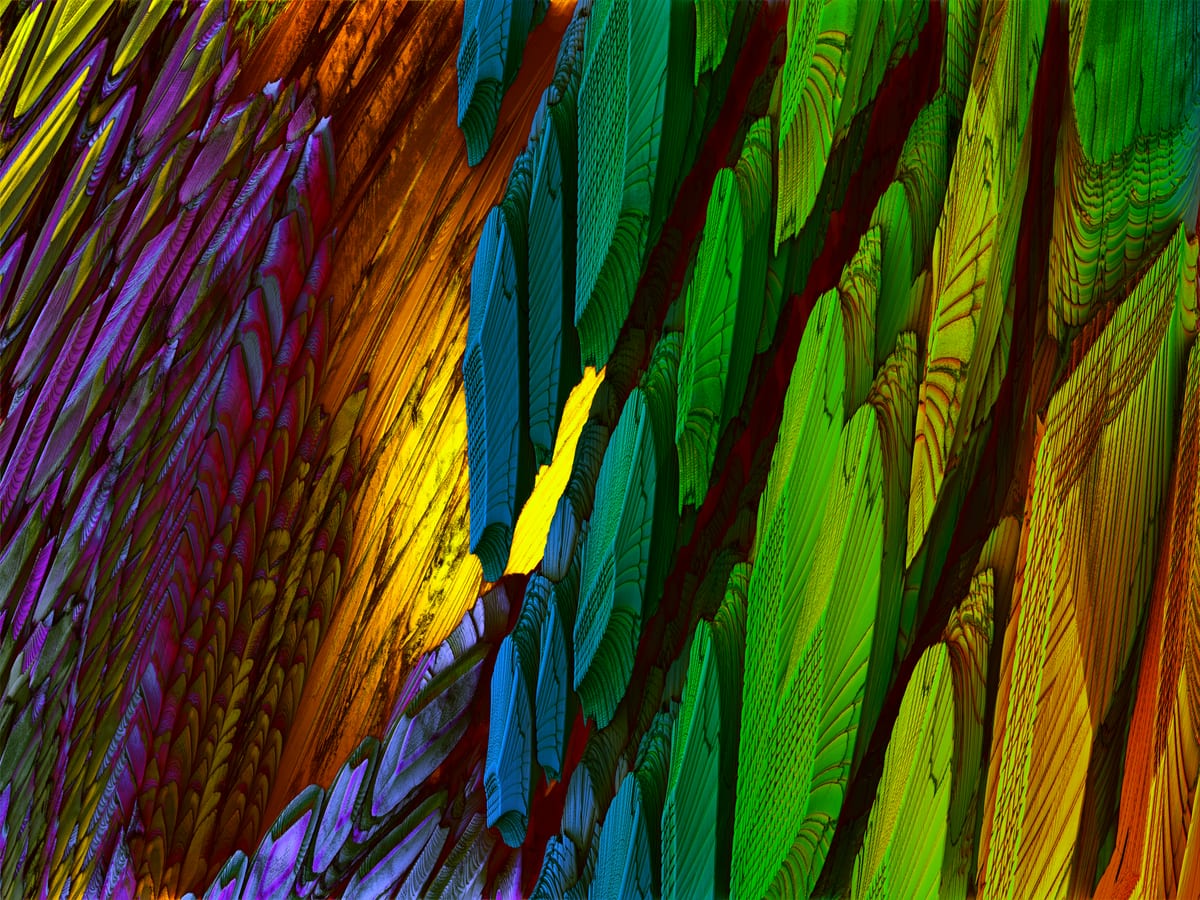 Gondwana