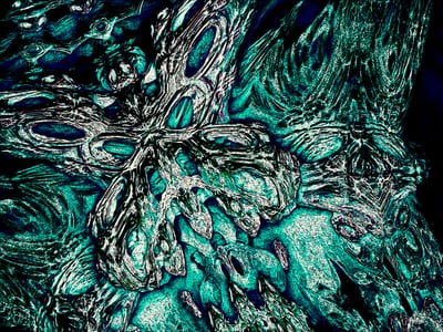 Humbaaba