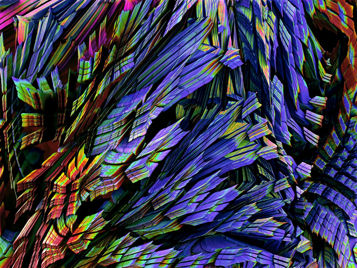 Megaera