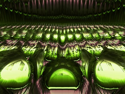 Organ