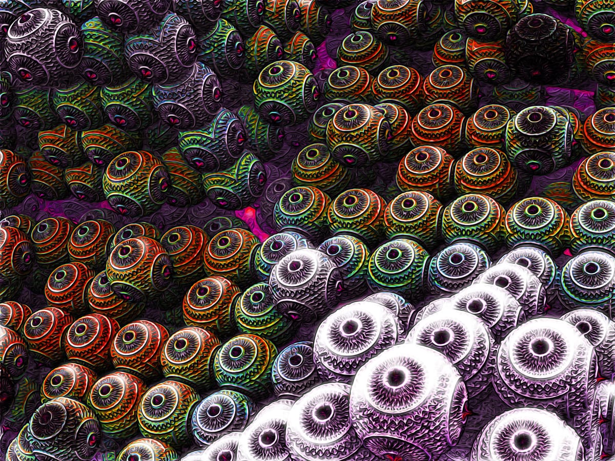 Phylactère