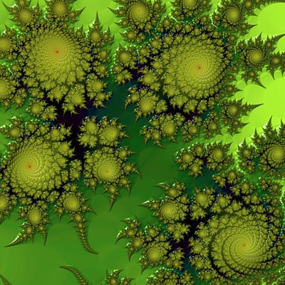 Romanesco