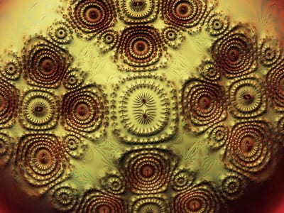 Sahara