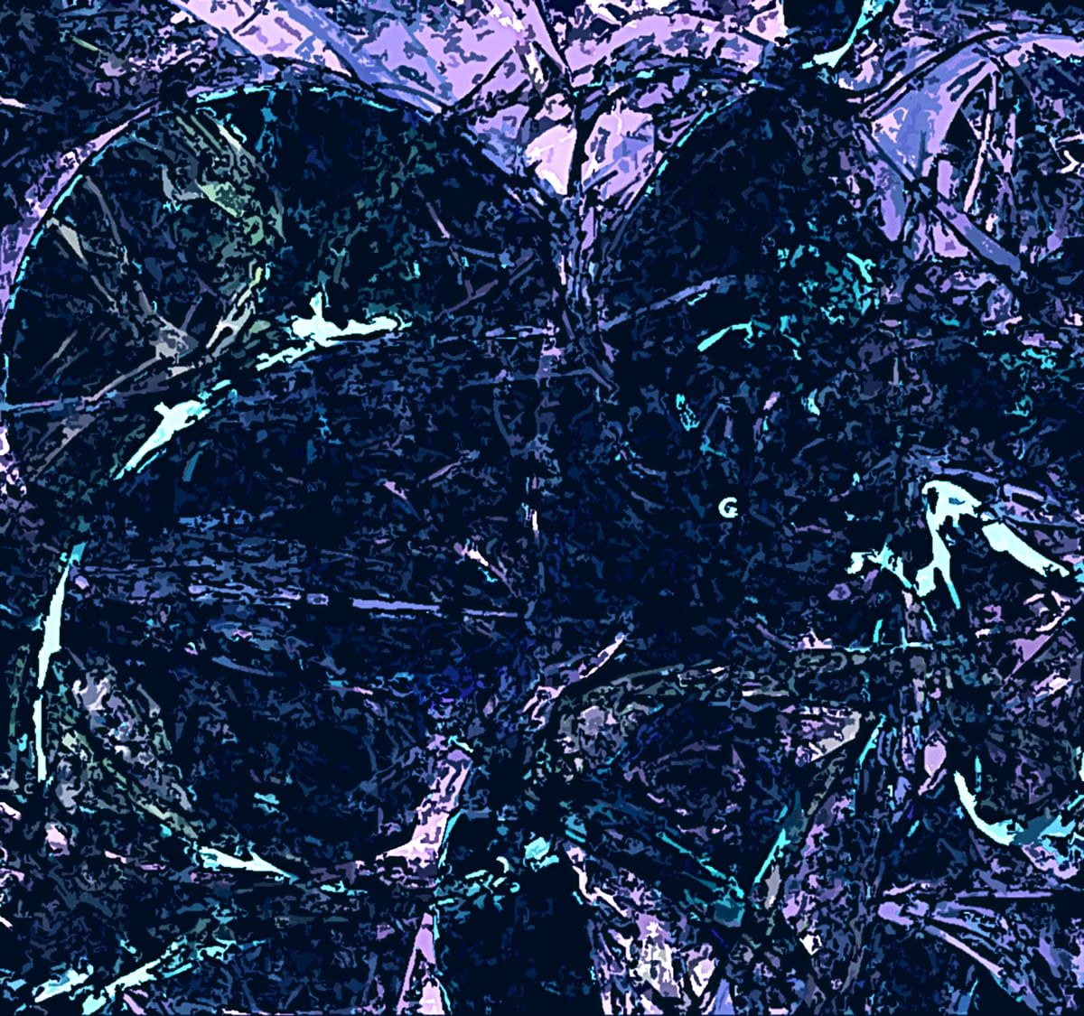 Transit Umbra